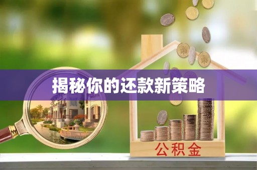 虎丘揭秘你的还款新策略