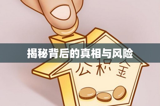 虎丘揭秘背后的真相与风险