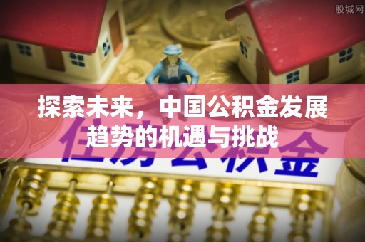 虎丘探索未来，中国公积金发展趋势的机遇与挑战