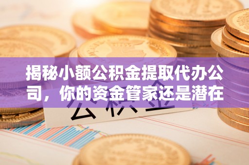 虎丘揭秘小额公积金提取代办公司，你的资金管家还是潜在陷阱？