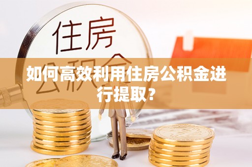 虎丘如何高效利用住房公积金进行提取？